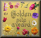 Golden Site Award